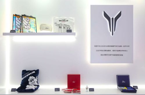 嵐圖free首次亮相,智能大屏炫酷全場(chǎng) 2021上海車展