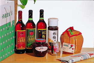 海通食品集團(tuán)股份圖冊盛都